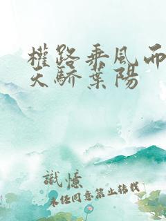 权路乘风而起话天骄叶阳