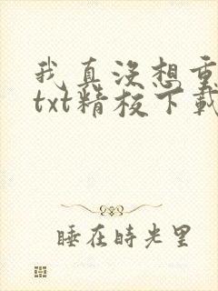 我真没想重生啊txt精校下载