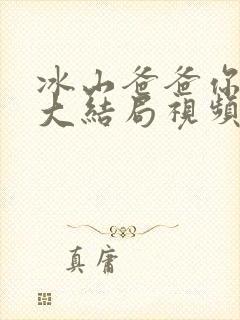 冰山爸爸你别跑大结局视频