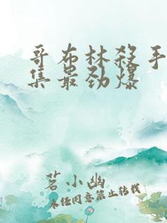 哥布林杀手哪一集最劲爆