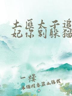 土匪太子追妻逃妃你别躲猫猫宋令仪全文在