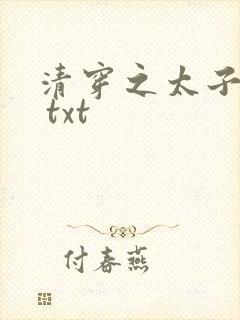 清穿之太子娇妃 txt