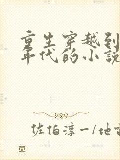 重生穿越到80年代的小说