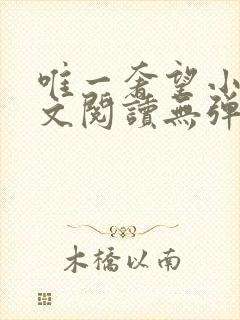 唯一奢望小说全文阅读无弹窗