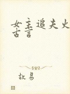 女主追夫火葬场古言