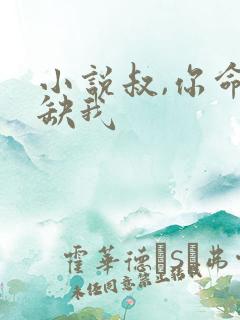 小说叔,你命中缺我