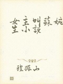 女主叫苏婉的重生小说