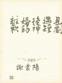 离婚后遇见了心软的神短剧免费观看