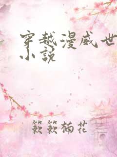 穿越漫威世界的小说