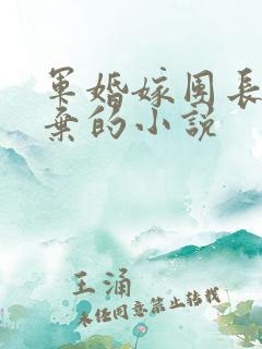 军婚嫁团长遭嫌弃的小说