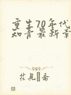 重生70年代当知青最新章节