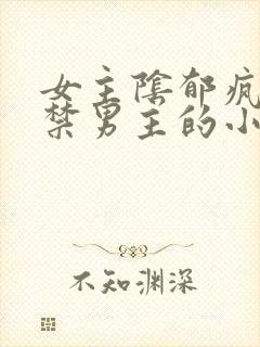 女主阴郁疯批囚禁男主的小说