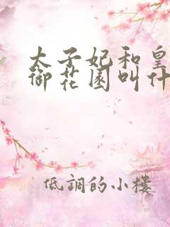 太子妃和皇帝在御花园叫什么小说