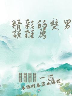 精彩的双男主小说推荐