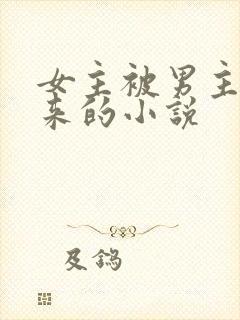 女主被男主买下来的小说