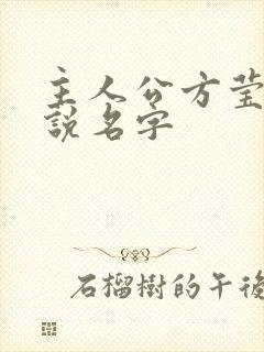 主人公方莹的小说名字