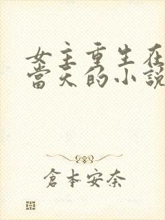 女主重生在离婚当天的小说