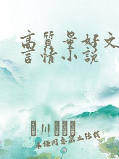 高质量好文笔的言情小说