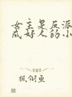 女主是反派却装成好人的小说