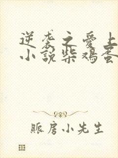 逆袭之爱上情敌小说柴鸡蛋免费阅读