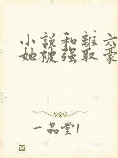 小说和离六年后她被强取豪夺了