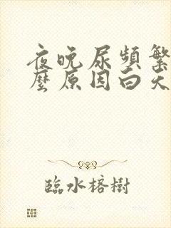 夜晚尿频繁是什么原因白天正常