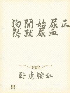 狗开始尿正常突然就尿血