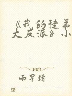 《我的徒弟都是大反派》小说