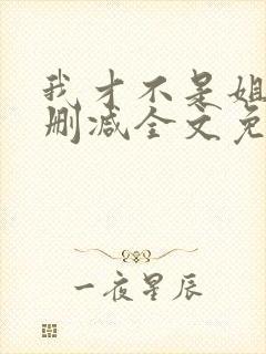 我才不是姐控无删减全文免费阅读