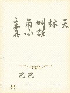 主角叫林天的修真小说