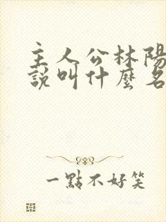 主人公林阳的小说叫什么名字