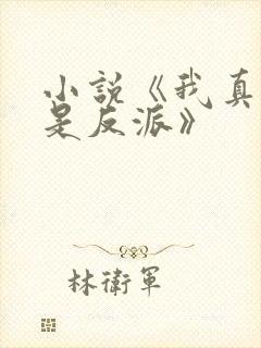小说《我真的不是反派》