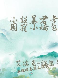 小说暴君爹爹的团宠小娇包全文