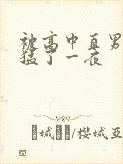 被高中直男室友猛了一夜