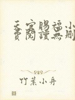 天官赐福小说免费阅读无删减版