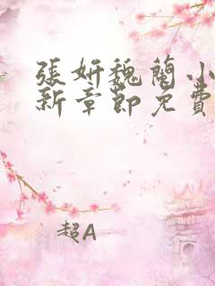 张妍魏兰小说最新章节免费阅读