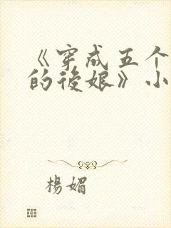 《穿成五个反派的后娘》小说
