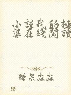 小说我的极品老婆在线阅读全文