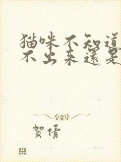 猫咪不知道是尿不出来还是拉不出来