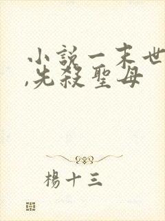 小说一末世降临,先杀圣母