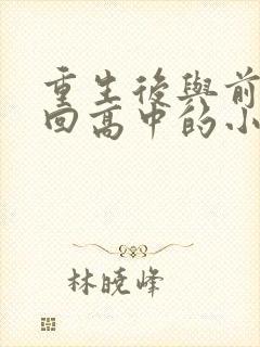 重生后与前夫重回高中的小说