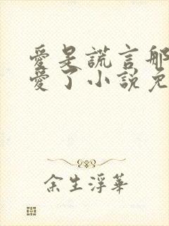 爱是谎言那就不爱了小说免费阅读