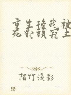 重生后我被渣男死对头宠上天.