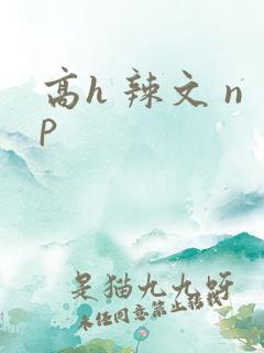 高h 辣文 np