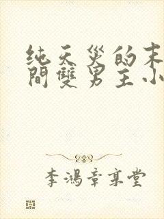 纯天灾的末世空间双男主小说