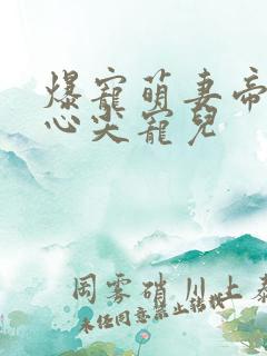 爆宠萌妻帝少的心尖宠儿