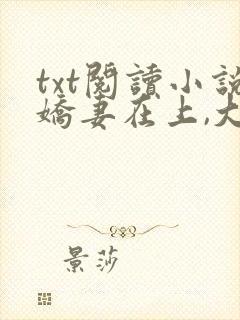 txt阅读小说娇妻在上,大叔求放过
