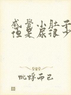 感觉小肚子很胀但是尿很少