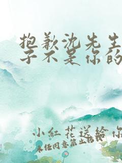 抱歉沈先生,孩子不是你的全集短剧