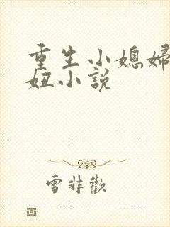 重生小媳妇岳小妞小说